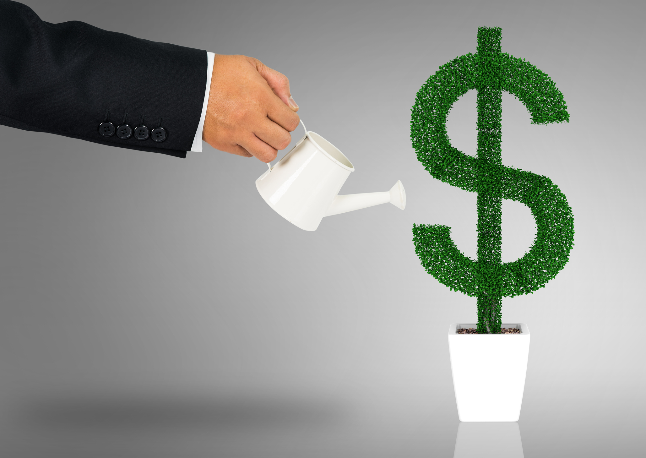 Spring Fever for Private Company Investors: Avoid Investing When Red Flags Are Discovered in the Company’s Garden