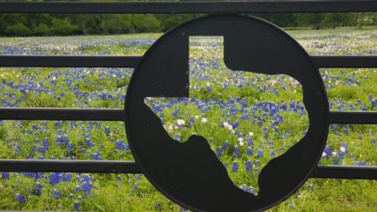 Welcome to Texas! Liability Protections Fuel the DExit: 3 Strategic Moves for Business Owners to Consider in Q4