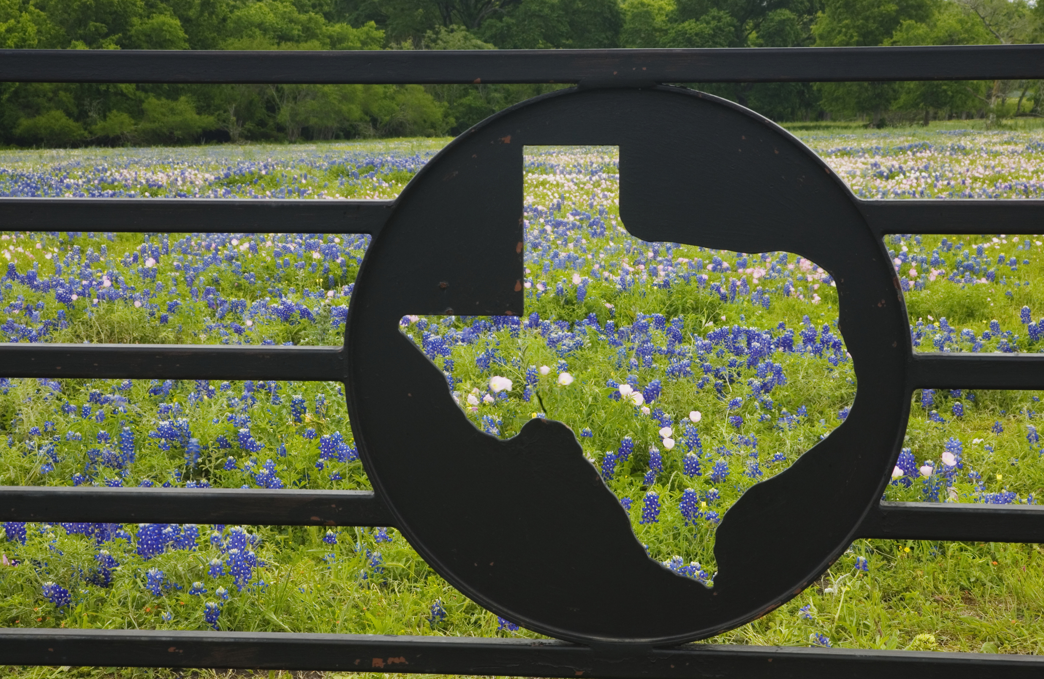 Welcome to Texas! Liability Protections Fuel the DExit: 3 Strategic Moves for Business Owners to Consider in Q4